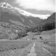paesaggio (Positivo) di Groth-Schmachtenberger, Erika