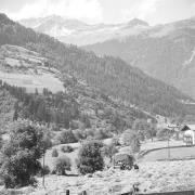 paesaggio (Positivo) di Groth-Schmachtenberger, Erika