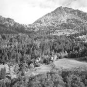 paesaggio (Positivo) di Groth-Schmachtenberger, Erika (1969/01/01 - 1969/12/31)