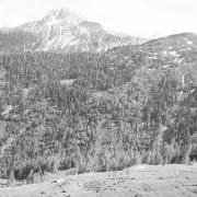 paesaggio (Positivo) di Groth-Schmachtenberger, Erika