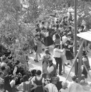 persone (Positivo) di Groth-Schmachtenberger, Erika (1969/01/01 - 1969/12/31)