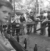 persone (Positivo) di Groth-Schmachtenberger, Erika (1969/01/01 - 1969/12/31)