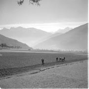 paesaggio (Positivo) di Groth-Schmachtenberger, Erika (1956/01/01 - 1956/12/31)