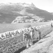 persone (Positivo) di Groth-Schmachtenberger, Erika