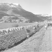 persone (Positivo) di Groth-Schmachtenberger, Erika