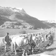 persone (Positivo) di Groth-Schmachtenberger, Erika