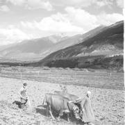 persone (Positivo) di Groth-Schmachtenberger, Erika