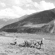 persone (Positivo) di Groth-Schmachtenberger, Erika