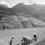 persone (Positivo) di Groth-Schmachtenberger, Erika