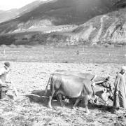 persone (Positivo) di Groth-Schmachtenberger, Erika