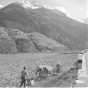 persone (Positivo) di Groth-Schmachtenberger, Erika