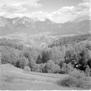 paesaggio (Positivo) di Groth-Schmachtenberger, Erika (1954/01/01 - 1954/12/31)