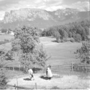 persone (Positivo) di Groth-Schmachtenberger, Erika (1954/01/01 - 1954/12/31)