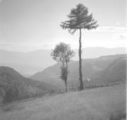 paesaggio (Positivo) di Groth-Schmachtenberger, Erika (1955/01/01 - 1955/12/31)