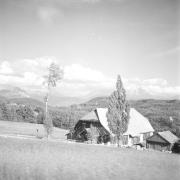 paesaggio (Positivo) di Groth-Schmachtenberger, Erika (1955/01/01 - 1955/12/31)