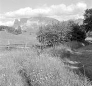 paesaggio (Positivo) di Groth-Schmachtenberger, Erika (1955/01/01 - 1955/12/31)