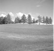 paesaggio (Positivo) di Groth-Schmachtenberger, Erika (1955/01/01 - 1955/12/31)