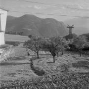 persone (Positivo) di Groth-Schmachtenberger, Erika (1969/01/01 - 1969/12/31)