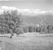 paesaggio (Positivo) di Groth-Schmachtenberger, Erika (1955/01/01 - 1955/12/31)