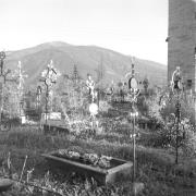 paesaggio (Positivo) di Groth-Schmachtenberger, Erika (1954/01/01 - 1954/12/31)