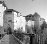 persone (Positivo) di Groth-Schmachtenberger, Erika (1954/01/01 - 1954/12/31)