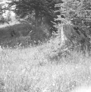 paesaggio (Positivo) di Groth-Schmachtenberger, Erika (1966/01/01 - 1966/12/31)