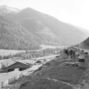 paesaggio (Positivo) di Groth-Schmachtenberger, Erika