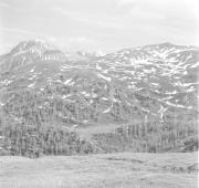 paesaggio (Positivo) di Groth-Schmachtenberger, Erika