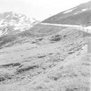 paesaggio (Positivo) di Groth-Schmachtenberger, Erika