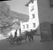 persone (Positivo) di Groth-Schmachtenberger, Erika (1951/01/01 - 1951/12/31)