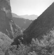 paesaggio (Positivo) di Groth-Schmachtenberger, Erika (1951/01/01 - 1951/12/31)