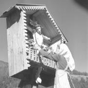 persone (Positivo) di Groth-Schmachtenberger, Erika (1951/01/01 - 1951/12/31)