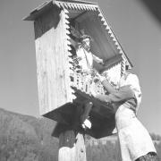 persone (Positivo) di Groth-Schmachtenberger, Erika (1951/01/01 - 1951/12/31)
