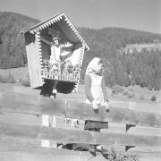 paesaggio (Positivo) di Groth-Schmachtenberger, Erika (1951/01/01 - 1951/12/31)