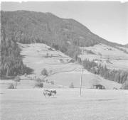 paesaggio (Positivo) di Groth-Schmachtenberger, Erika (1956/01/01 - 1956/12/31)