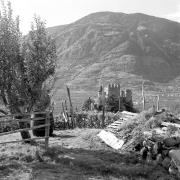 paesaggio (Positivo) di Groth-Schmachtenberger, Erika