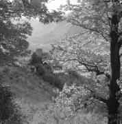 paesaggio (Positivo) di Groth-Schmachtenberger, Erika