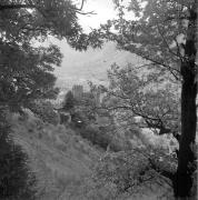 paesaggio (Positivo) di Groth-Schmachtenberger, Erika