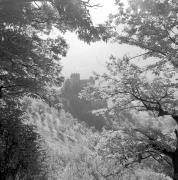 paesaggio (Positivo) di Groth-Schmachtenberger, Erika (1969/01/01 - 1969/12/31)