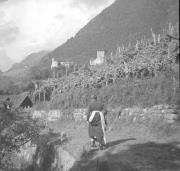 persone (Positivo) di Groth-Schmachtenberger, Erika (1934/01/01 - 1934/12/31)