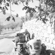 persone (Positivo) di Groth-Schmachtenberger, Erika (1969/01/01 - 1969/12/31)