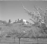 paesaggio (Positivo) di Groth-Schmachtenberger, Erika (1956/01/01 - 1956/12/31)