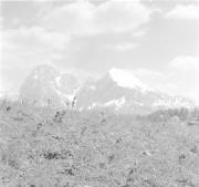 paesaggio (Positivo) di Groth-Schmachtenberger, Erika (1966/01/01 - 1966/12/31)