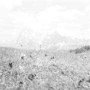 paesaggio (Positivo) di Groth-Schmachtenberger, Erika