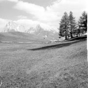 paesaggio (Positivo) di Groth-Schmachtenberger, Erika (1966/01/01 - 1966/12/31)