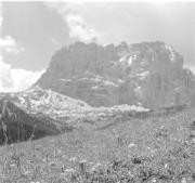 paesaggio (Positivo) di Groth-Schmachtenberger, Erika