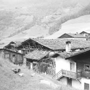 paesaggio (Positivo) di Groth-Schmachtenberger, Erika