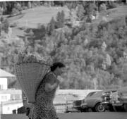 paesaggio (Positivo) di Groth-Schmachtenberger, Erika (1953/01/01 - 1953/12/31)