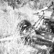 persone (Positivo) di Groth-Schmachtenberger, Erika (1971/01/01 - 1971/12/31)