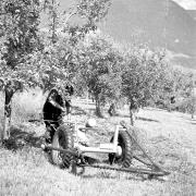 paesaggio (Positivo) di Groth-Schmachtenberger, Erika (1971/01/01 - 1971/12/31)